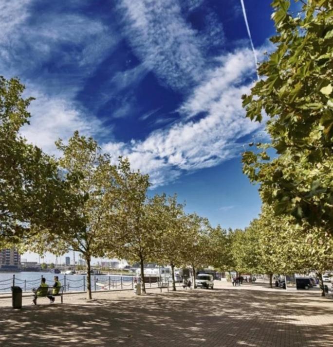 Lovely Waterfront Flat Canary Wharf Excel Centre Apartment London Luaran gambar